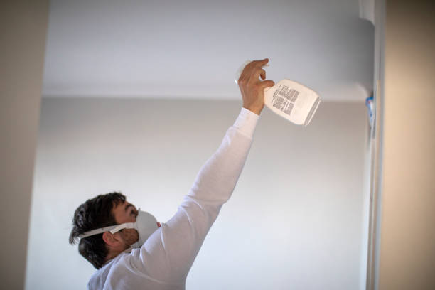 Best Attic Mold Removal  in St Bernard, OH