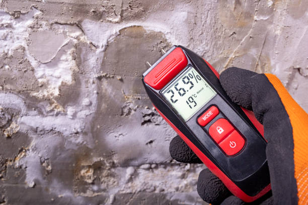 Best Office Mold Removal Services  in St Bernard, OH